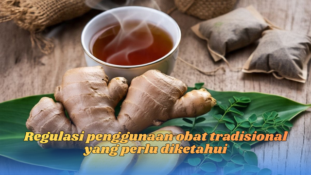 Regulasi penggunaan obat tradisional