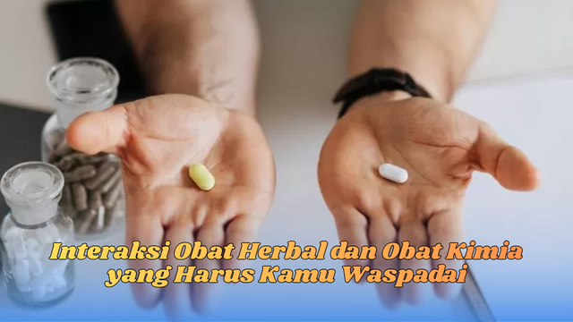 Interaksi obat herbal kimia