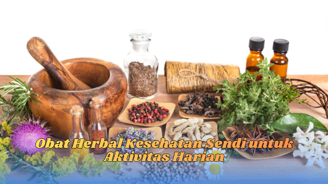 Obat herbal kesehatan sendi