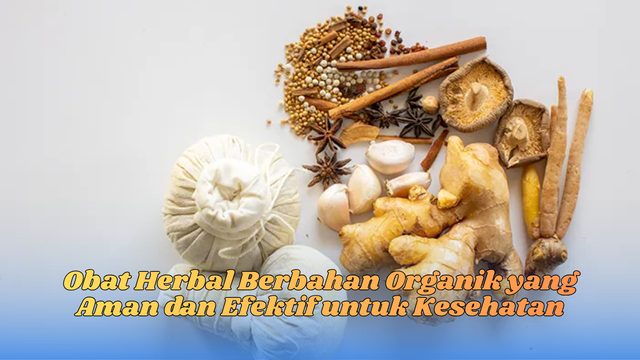 Obat herbal berbahan organik