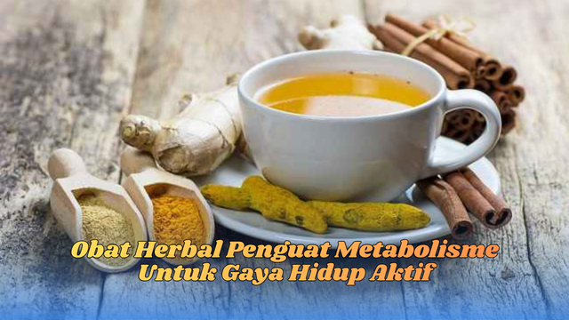 Obat Herbal Penguat Metabolisme