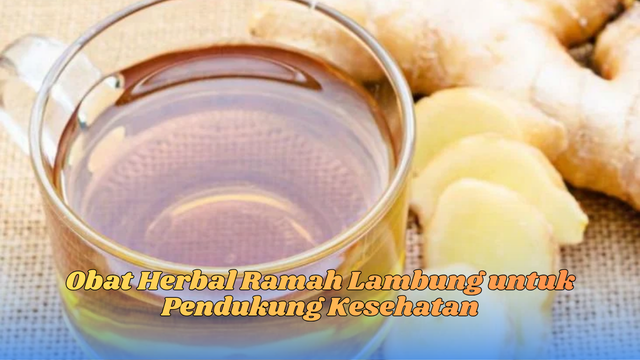 Obat Herbal Ramah Lambung