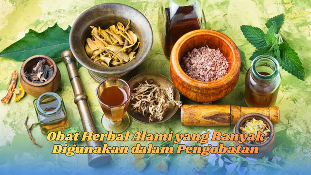 Obat Herbal Alami
