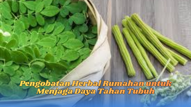 pengobatan herbal rumahan