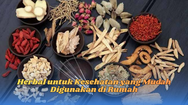 herbal untuk kesehatan