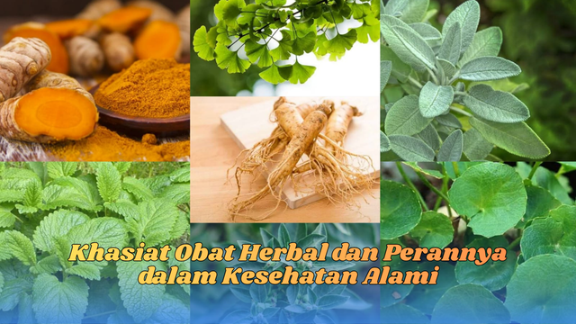 khasiat obat herbal