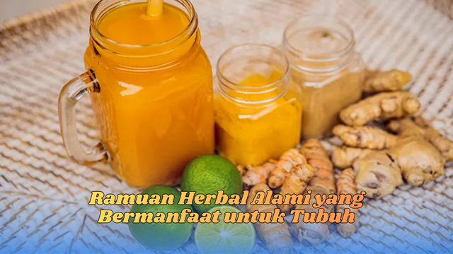 ramuan herbal alami