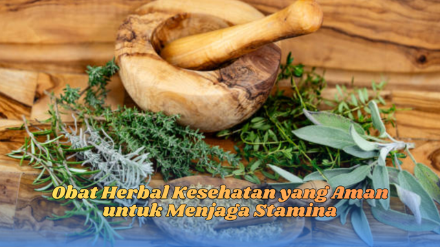 obat herbal kesehatan