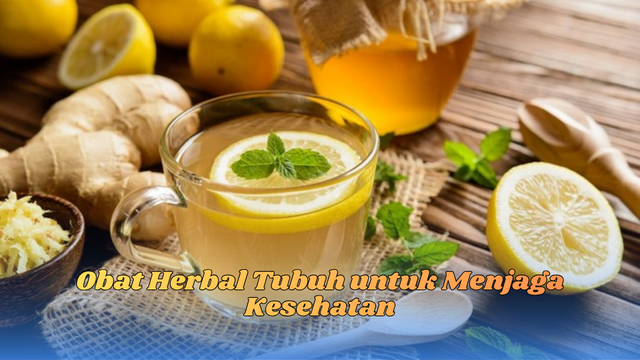 obat herbal tubuh