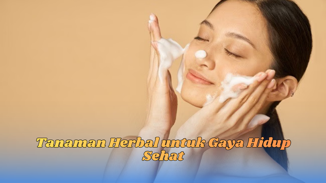 tanaman herbal