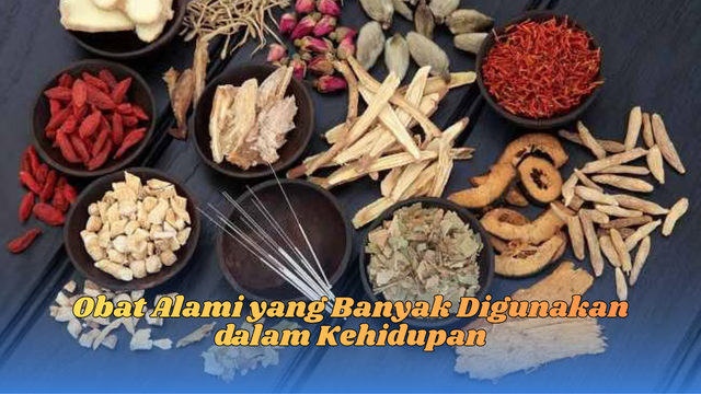 obat alami
