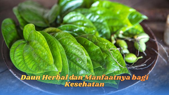 Daun Herbal dan Manfaatnya bagi Kesehatan